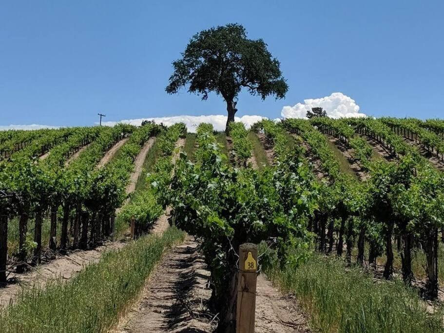 The Vineyard Farmhouse Villa Paso Robles Bagian luar foto