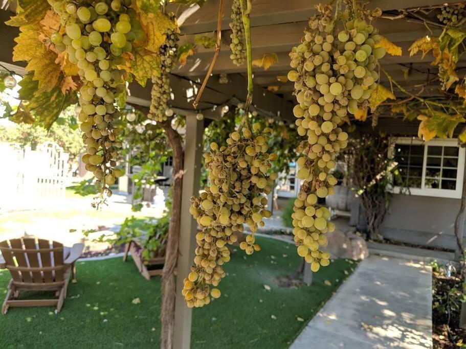 The Vineyard Farmhouse Villa Paso Robles Bagian luar foto