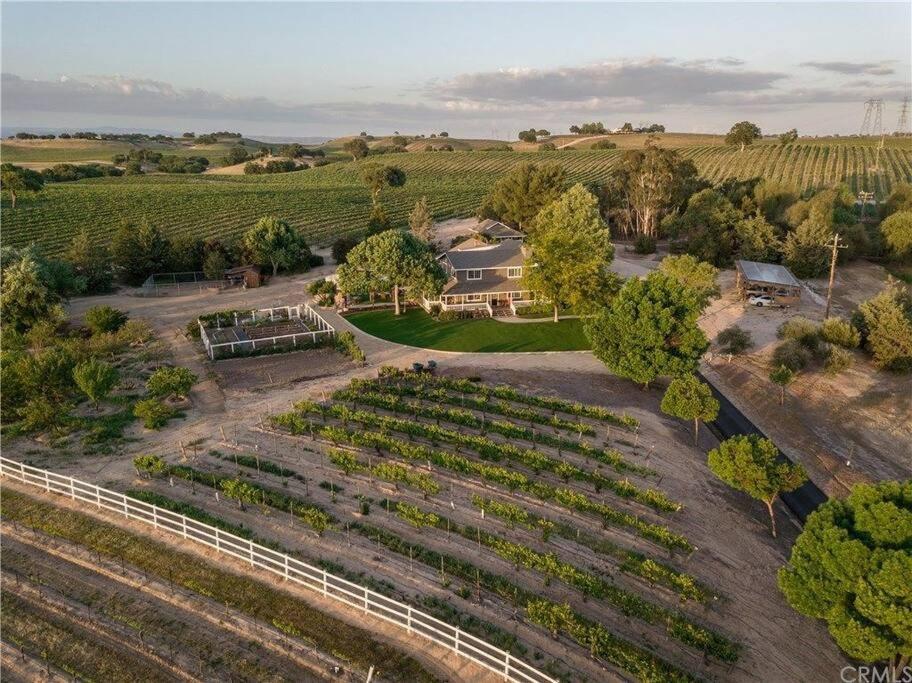 The Vineyard Farmhouse Villa Paso Robles Bagian luar foto