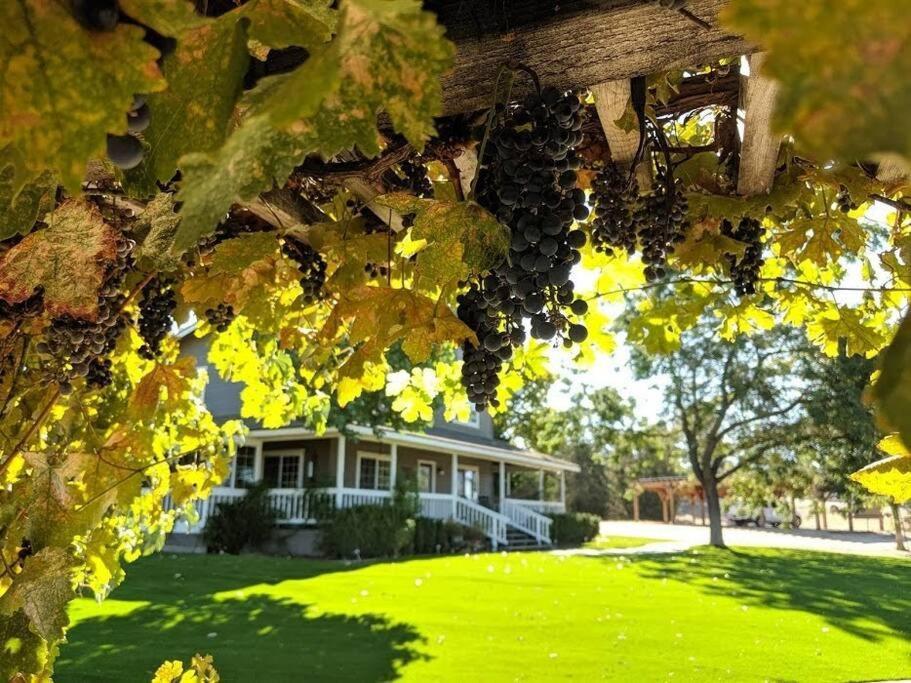 The Vineyard Farmhouse Villa Paso Robles Bagian luar foto